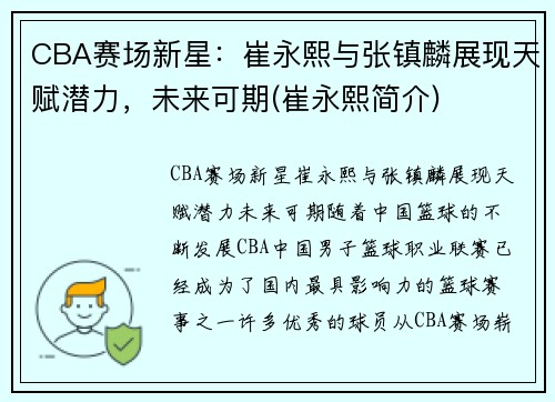 CBA赛场新星：崔永熙与张镇麟展现天赋潜力，未来可期(崔永熙简介)